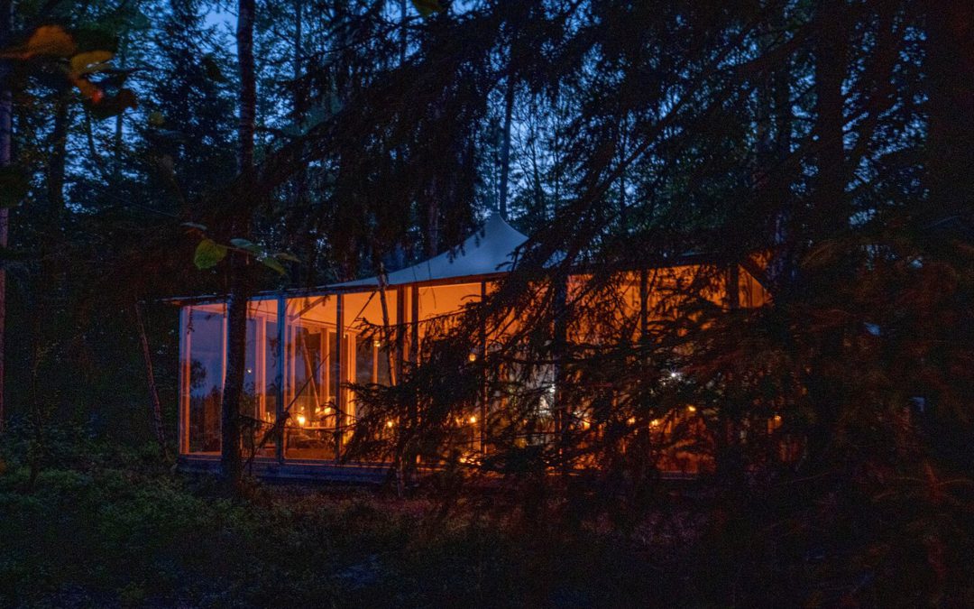 Stedsans in the Woods