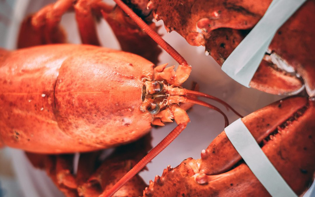 Hummer och Champagnemiddag på Joels brygga 9 okt (nytt datum!)