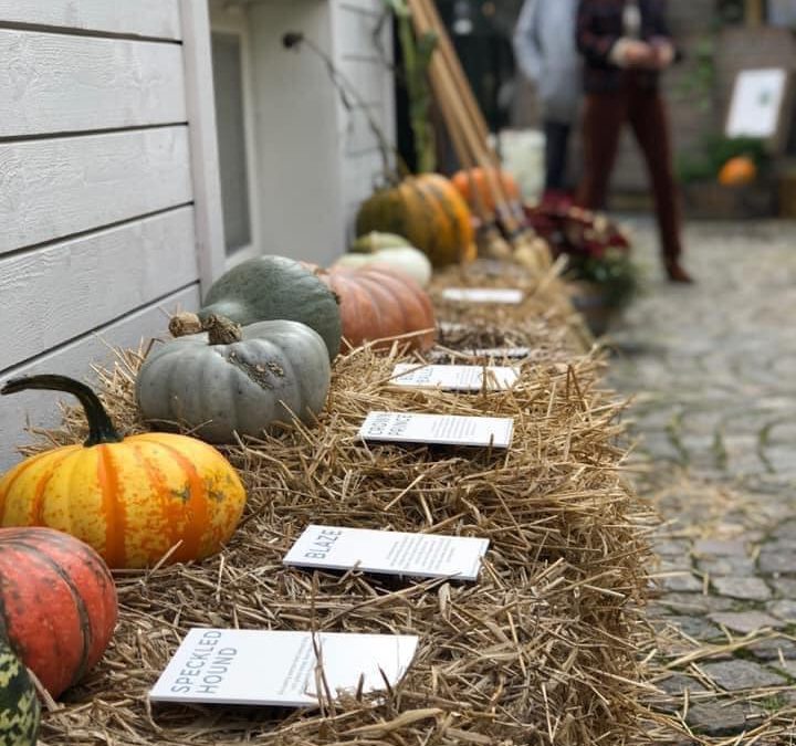 Pumpautställning i Våra Kvarter – Kungsbacka